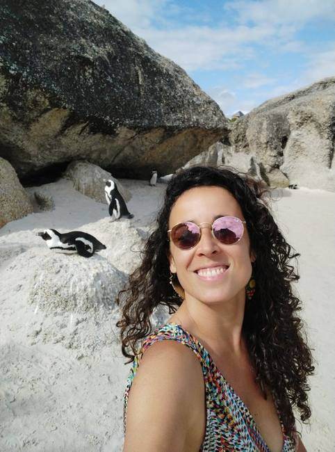 Cape Peninsula Boulders Beach penguins